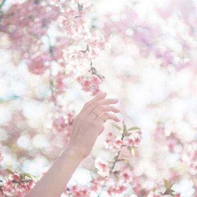 芒果体育手机app下载